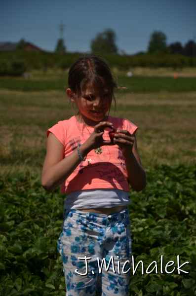 D7M_3570.JPG