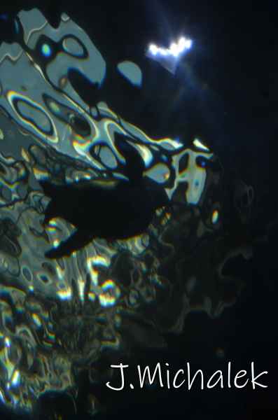 D7M_4898.JPG