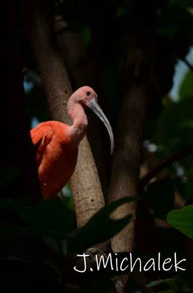 D7M_5011.JPG