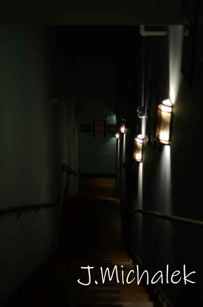 D7M_7430.JPG