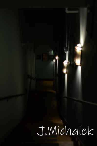 D7M_7431.JPG