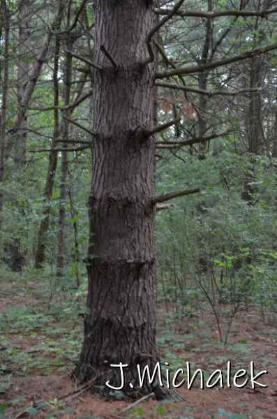 D7M_8369.JPG