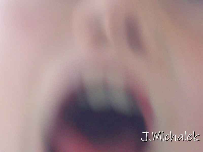 100_2006.JPG