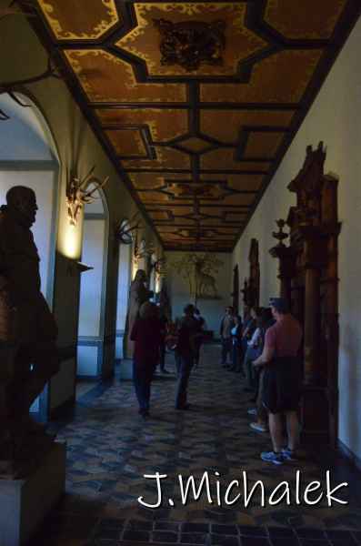 D7M_8870.JPG