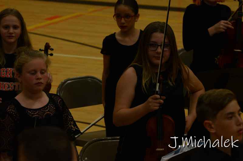 D7N_2372.JPG