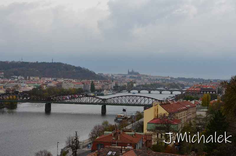 D7N_4648.JPG