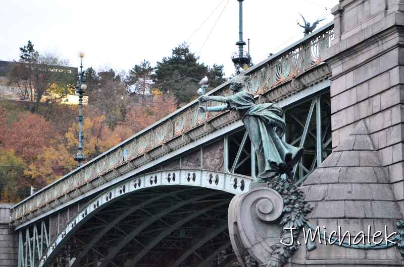 D7N_4896.JPG