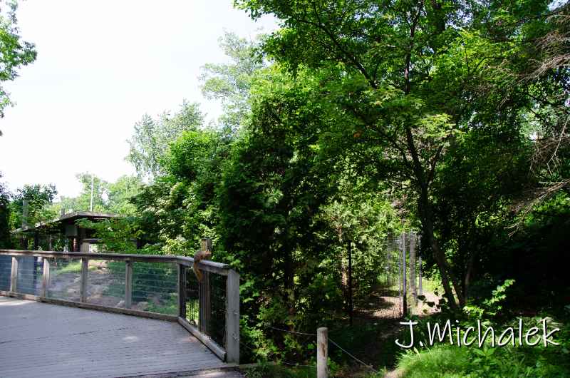 D7O_5966.jpg