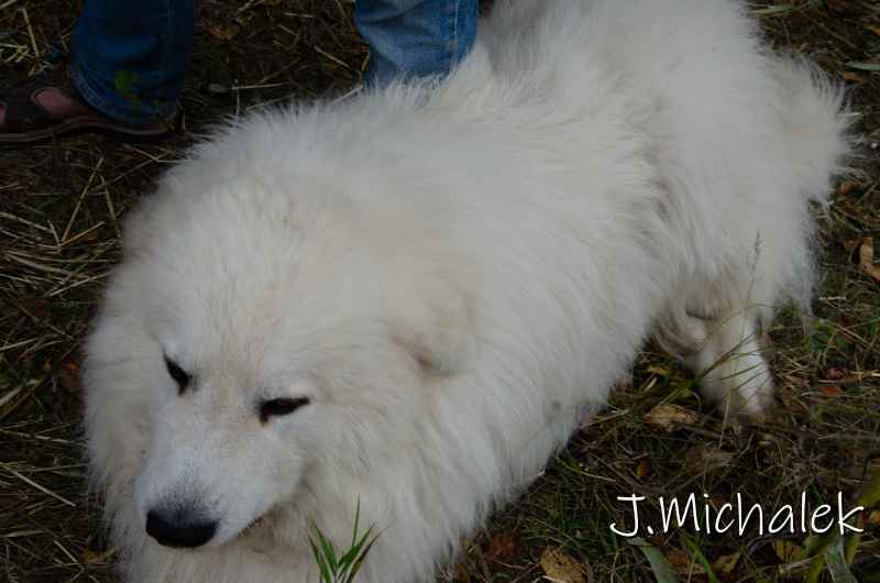 D7O_6175.jpg