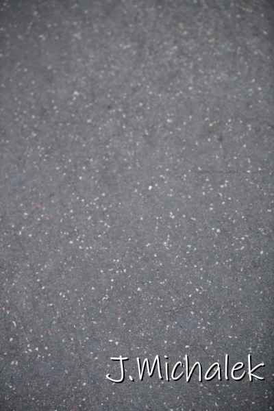 N85_5508.JPG