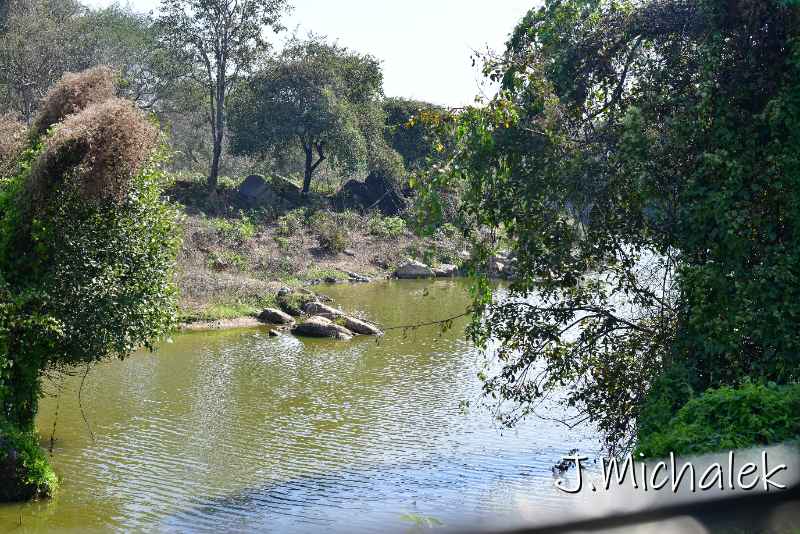 N85_7587.JPG