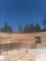 Resized_IMG950223
