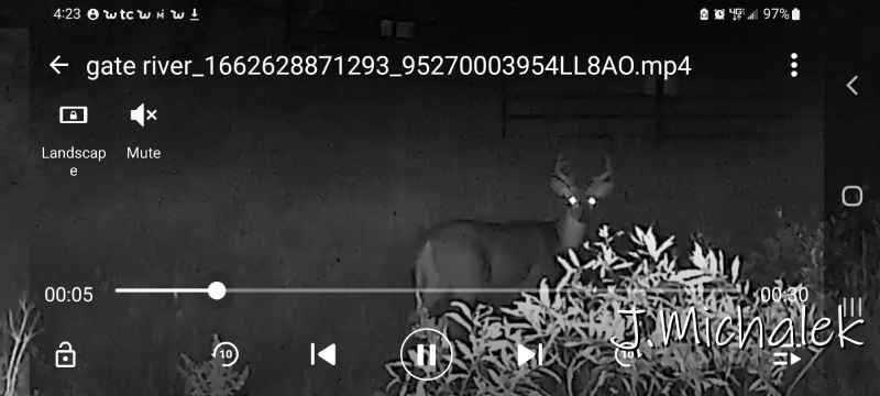 Screenshot_20220908-042313_File_Manager_-_XFolder.jpg